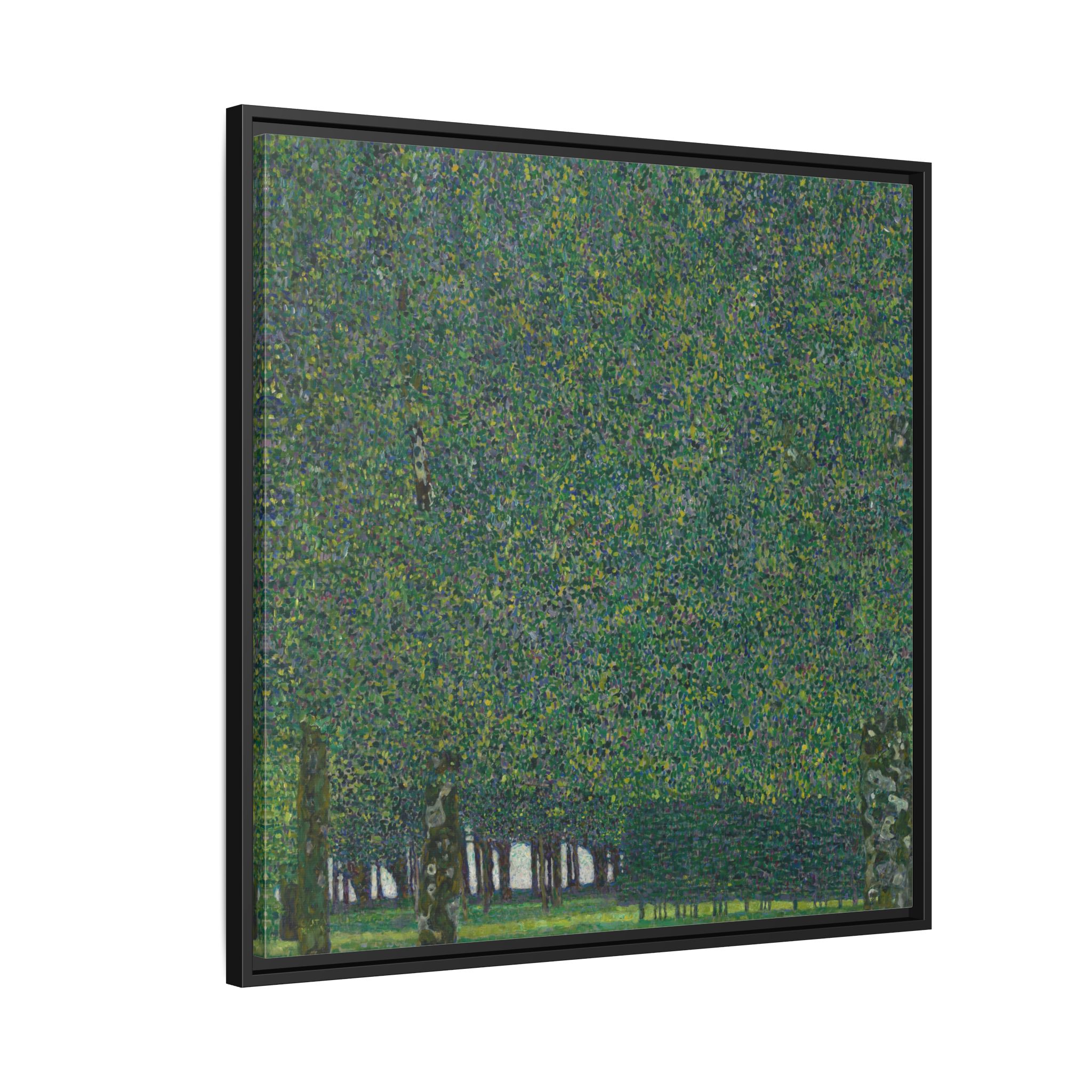 The Park (1909-1910) Framed Canvas | Gustav Klimt Wall Art
