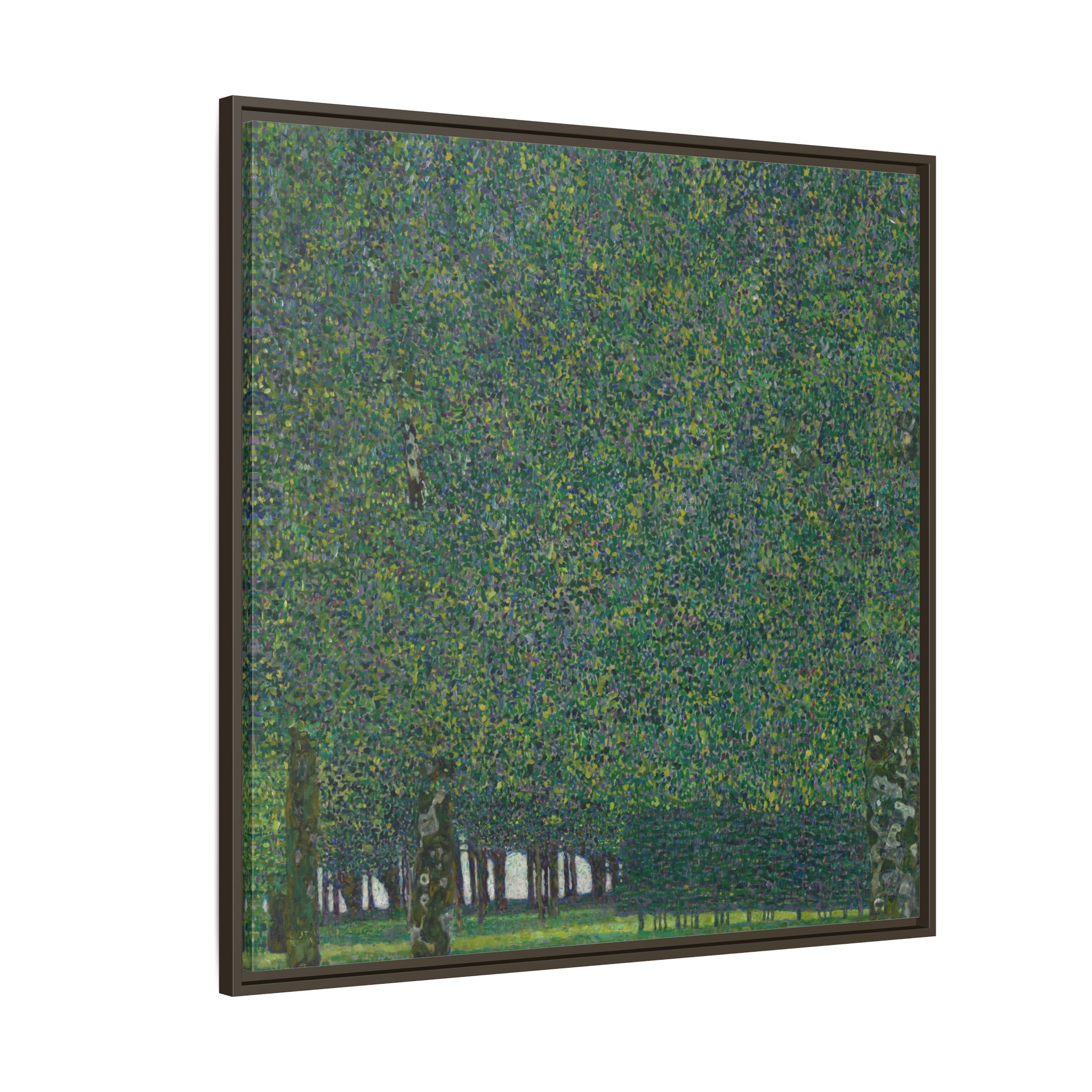 The Park (1909-1910) Framed Canvas | Gustav Klimt Wall Art