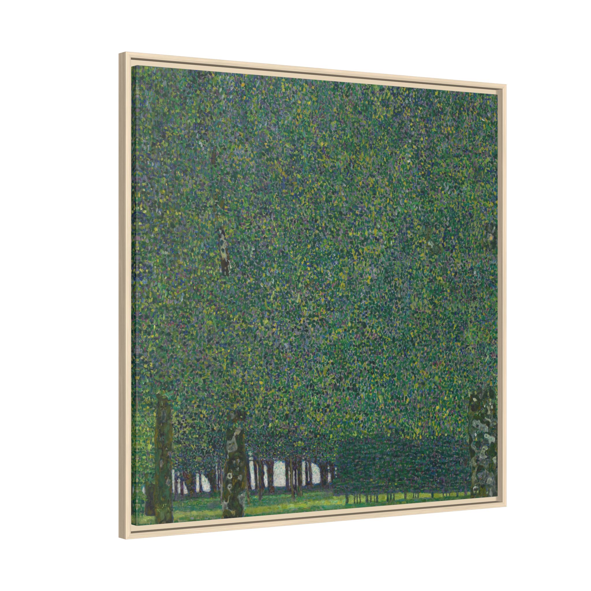The Park (1909-1910) Framed Canvas | Gustav Klimt Wall Art
