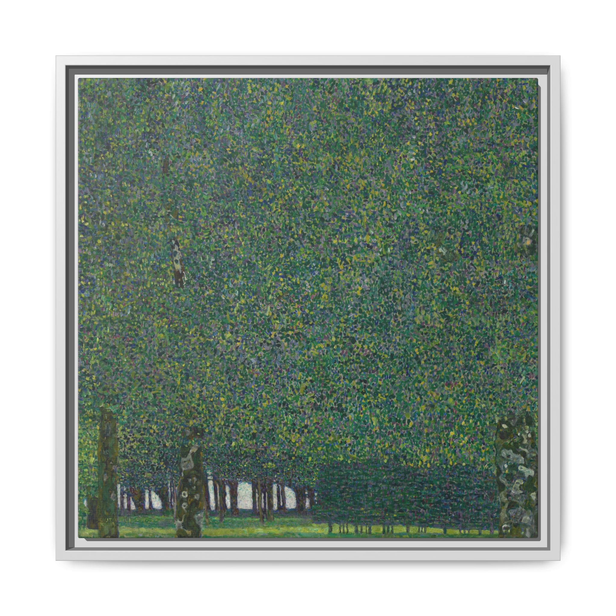 The Park (1909-1910) Framed Canvas | Gustav Klimt Wall Art