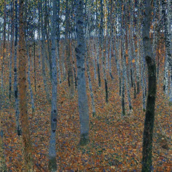 Beech Forest 19021903 CE 1