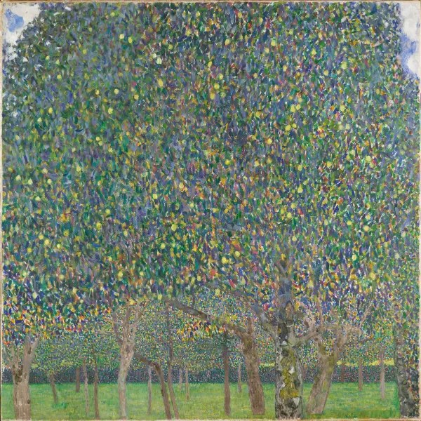 Pear Tree 1903 CE 1