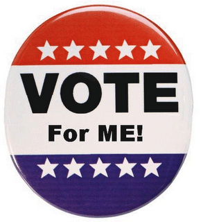 vote pin
