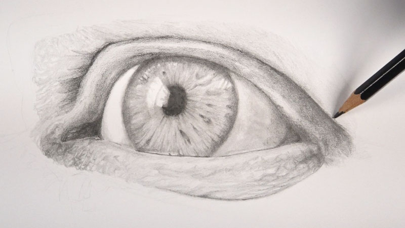 Sometimes, you might mistake an eye infection for an allergy or cold. How To Draw Eyes