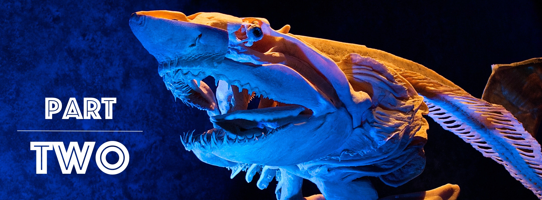 Finance Friday: Fighting the Debt Monster – Part Two