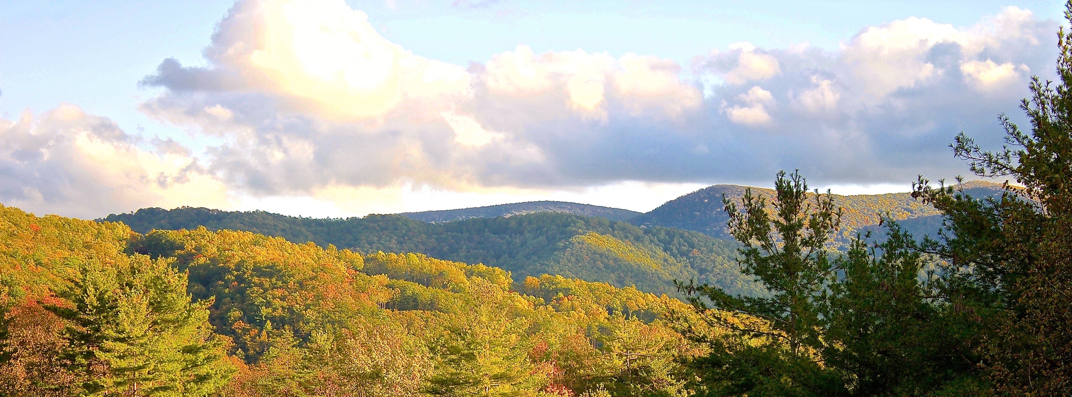 10 Things Learned From Living at a Small Cabin in the Woods