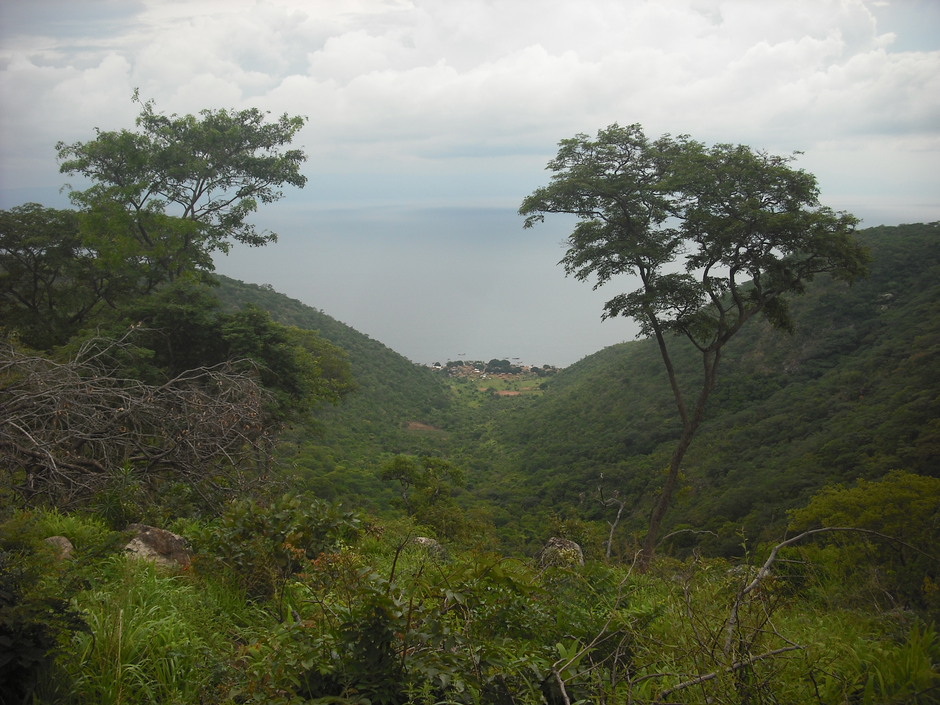 Looking back at that picturesque little village from the ridgetop we had to cross to get to Kalambo Falls.