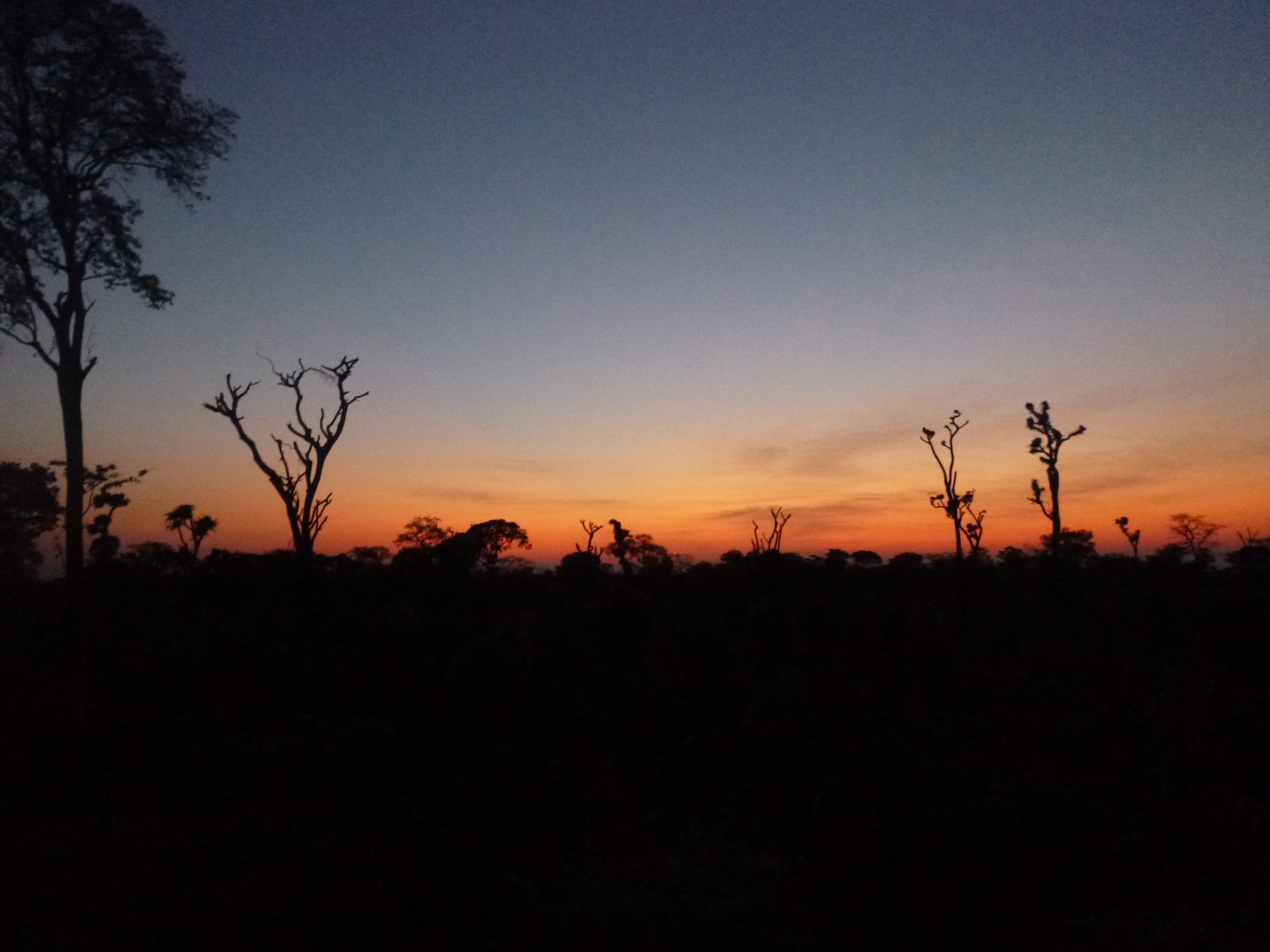 Sunrise over a slashed-and-burned field on an early-morning bike ride out of Mfuba.