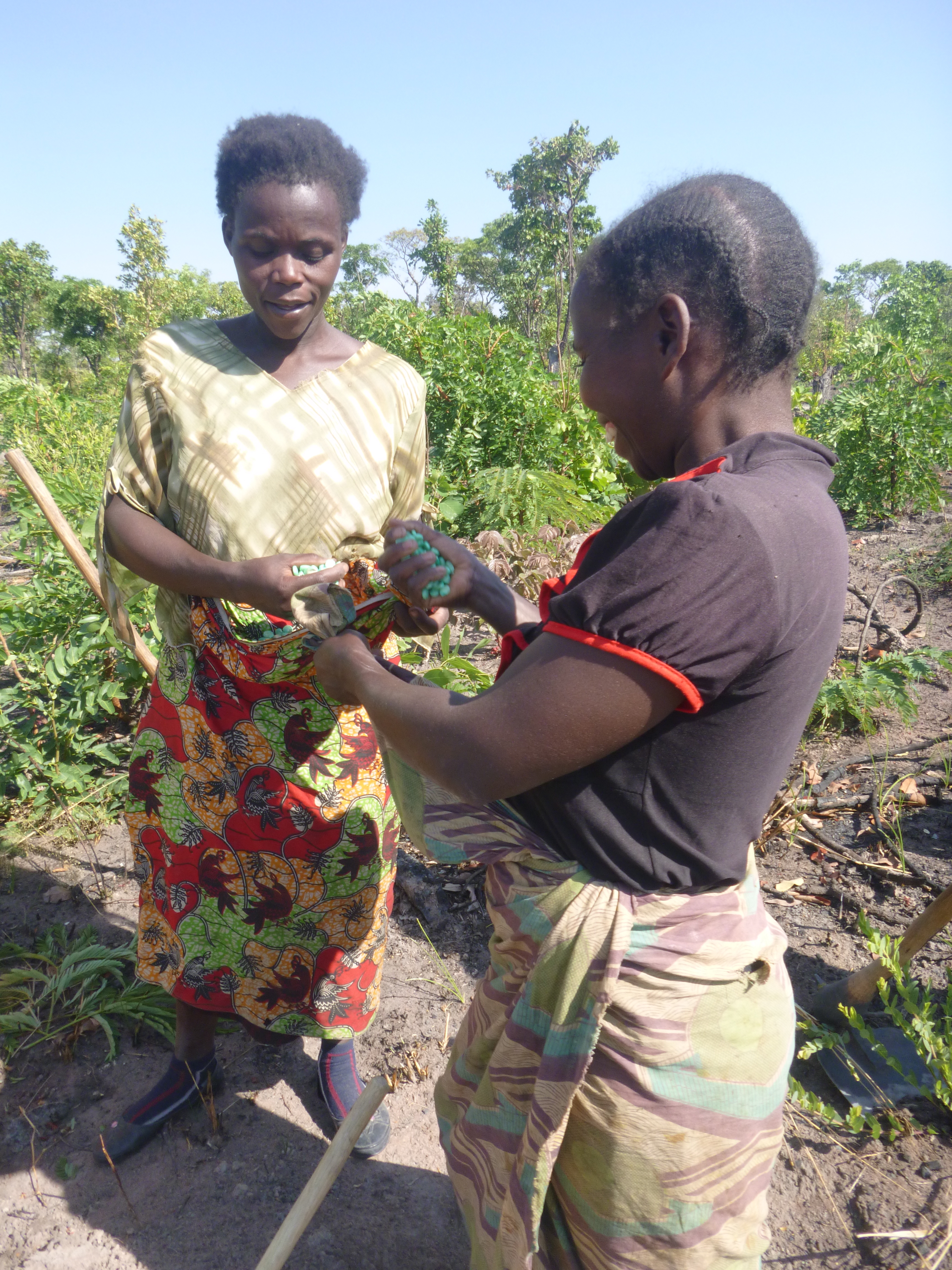 Ba Mary and Ba Agatha, doling out fertilizer.