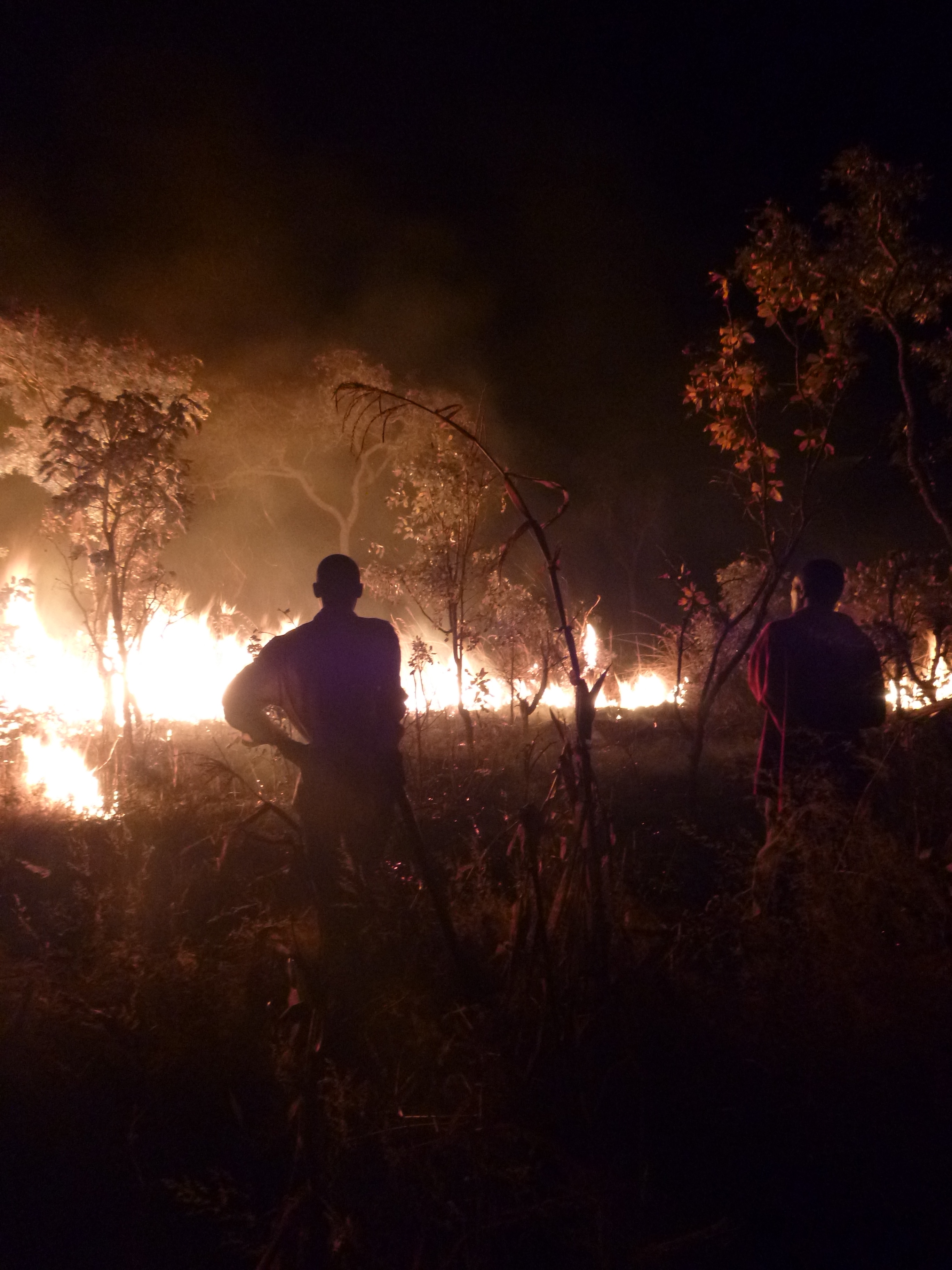 Ba Allan and Ba Bernardi watch the fire they started to make a firebreak around the Mfuba Co-op's field.