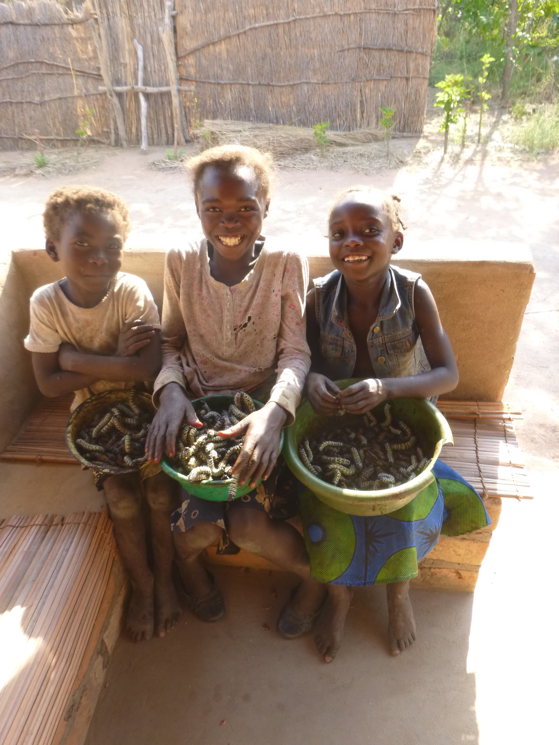 Lavenda, Norida, and Annette with their morning's caterpillar harvest.