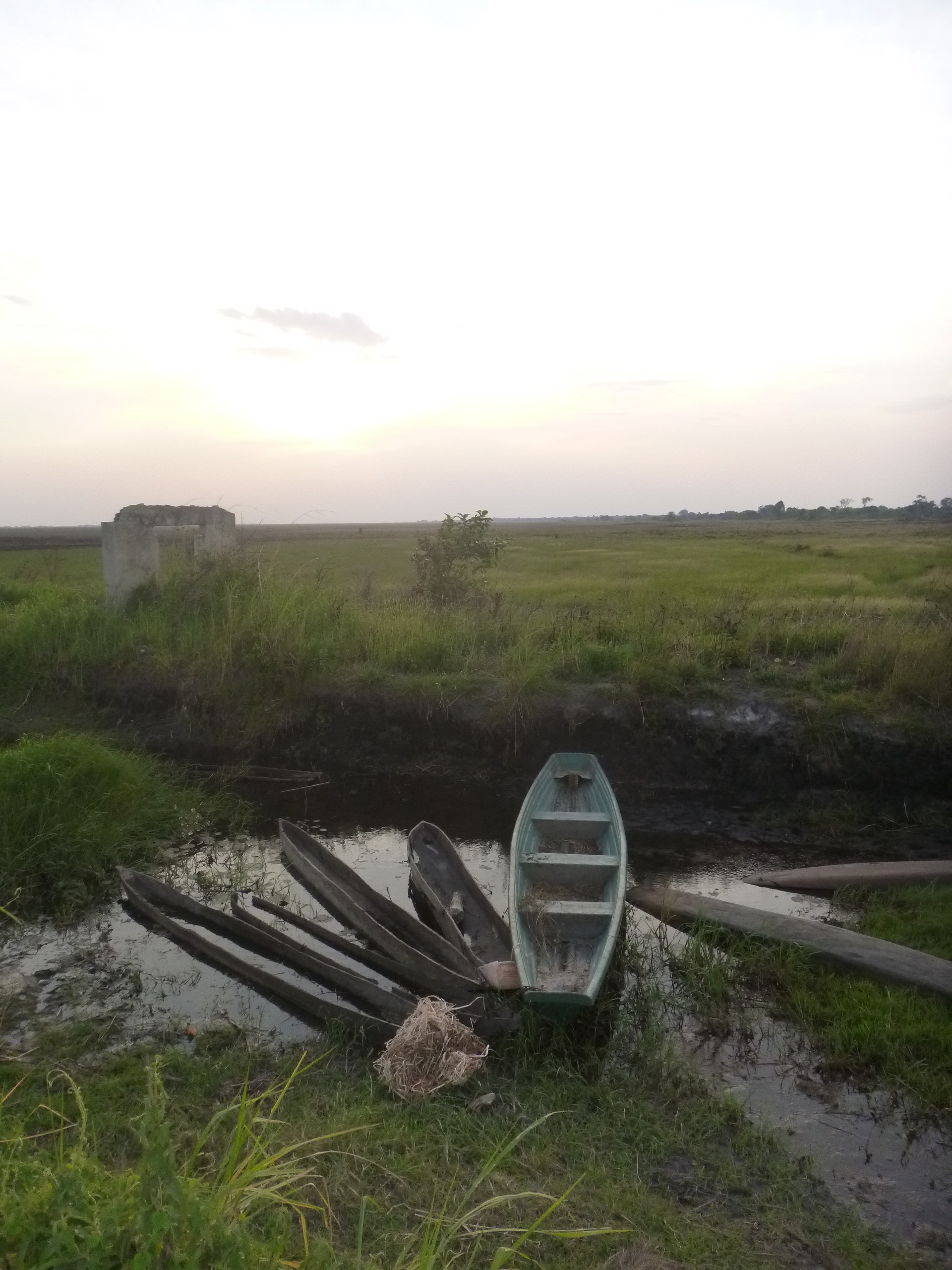 Fishing boats along a canal in Nsombo, on the marshy eastern edge of Lake Bangweulu.