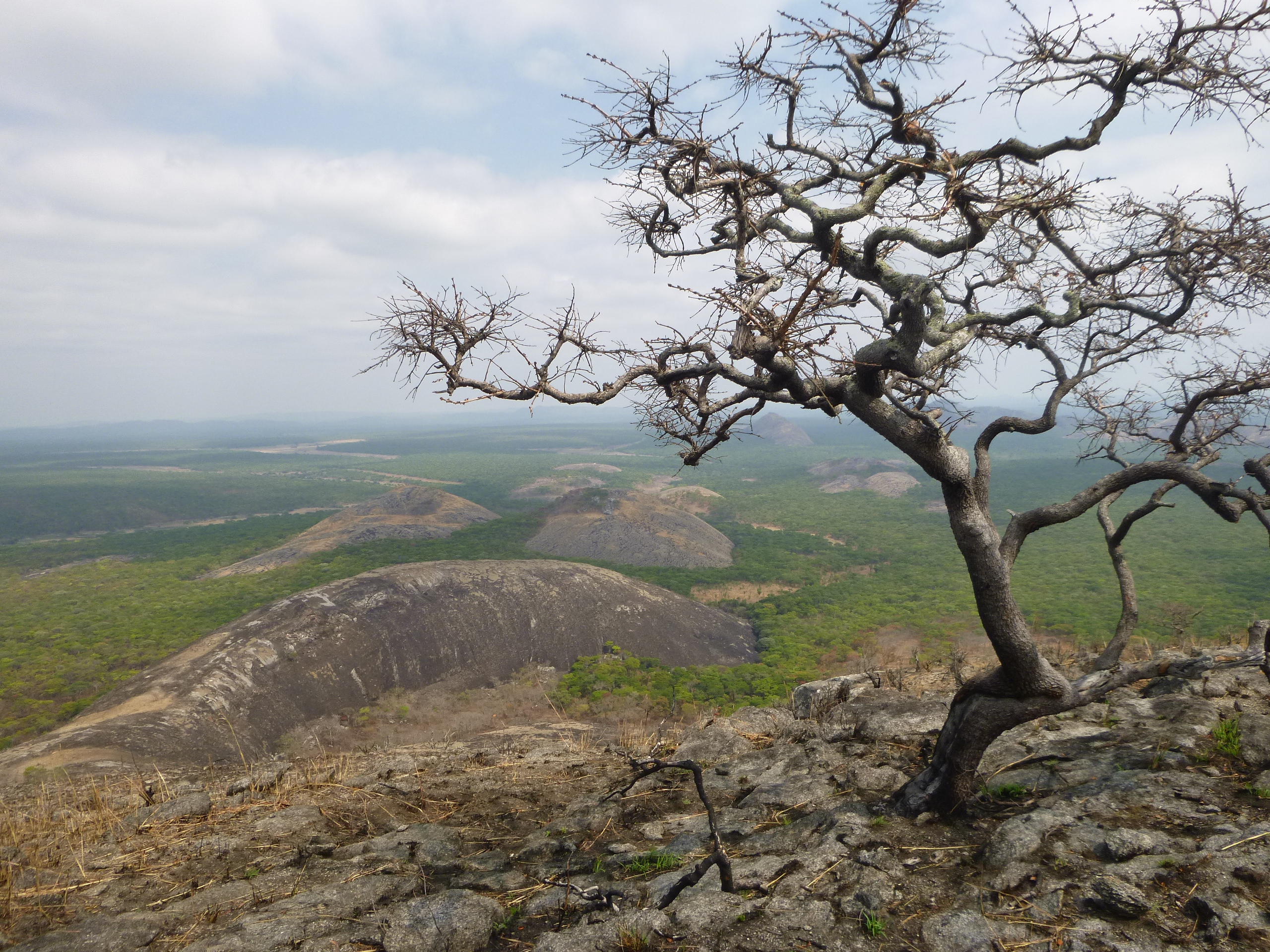 Images from four days camping in and exploring the Mutinondo Wilderness, along the Muchinga Escarpment.