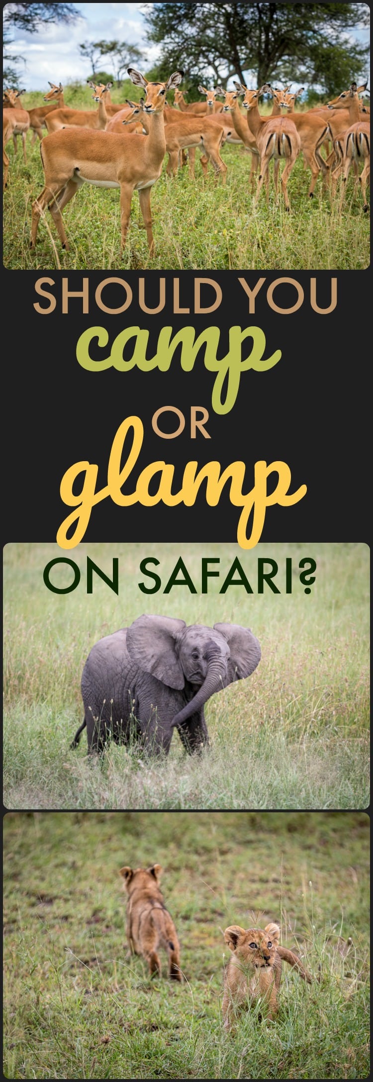 How To Choose Between Camping And Glamping For Your African