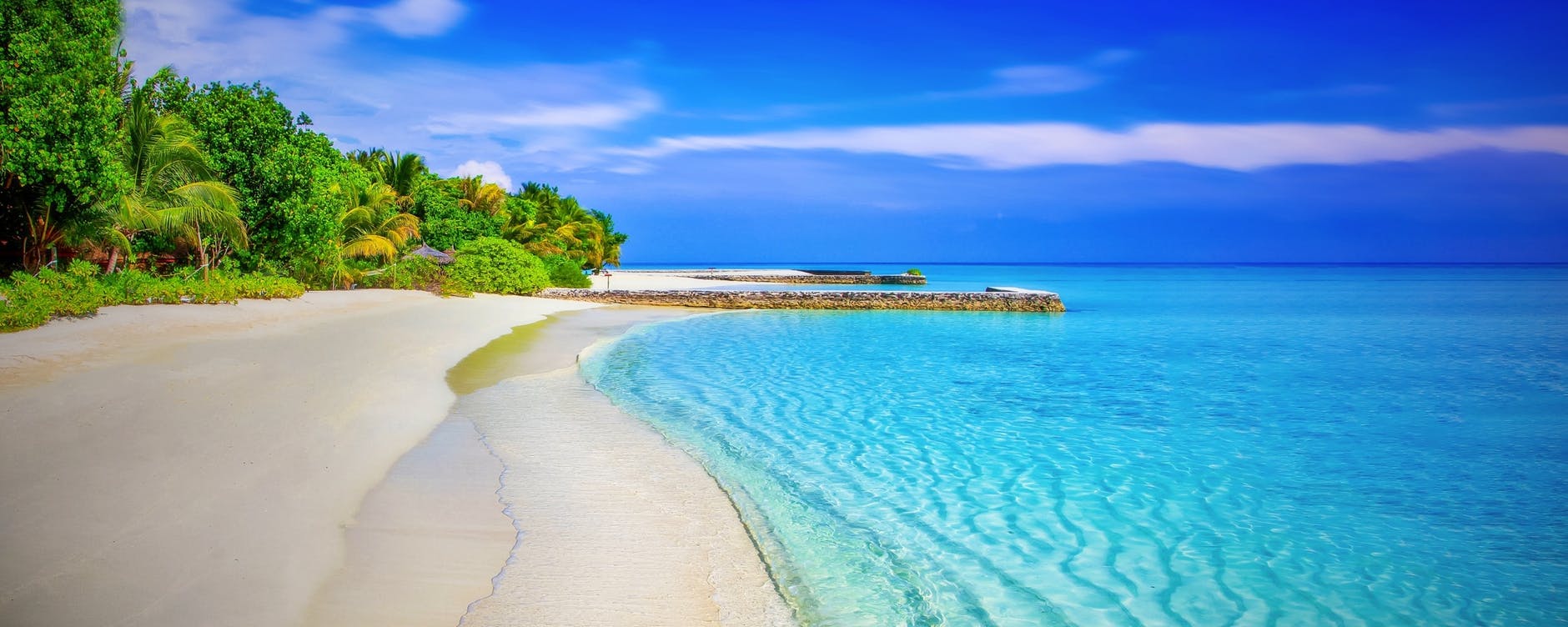 Photo by Pixabay on Pexels.com