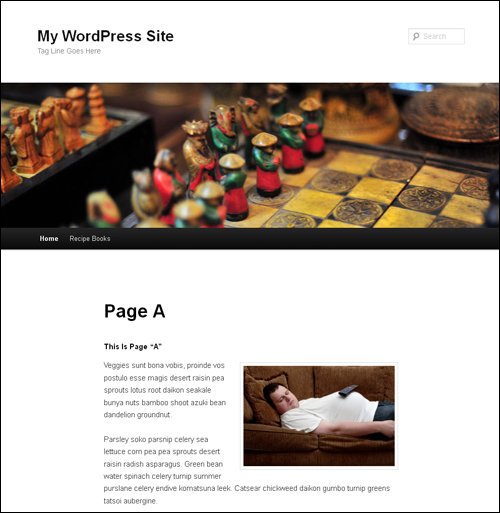 One of the most common questions i get is how to create a static homepage in wordpress. How To Set A Page In Wordpress As A Static Home Page Basic Wp Tutorials The Web Wizz Wordpress Guru