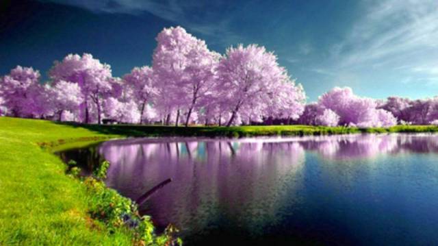 Image result for spring pictures