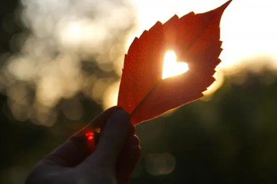 Read more about the article Love and Kindness Go Together: A Relationship Reminder