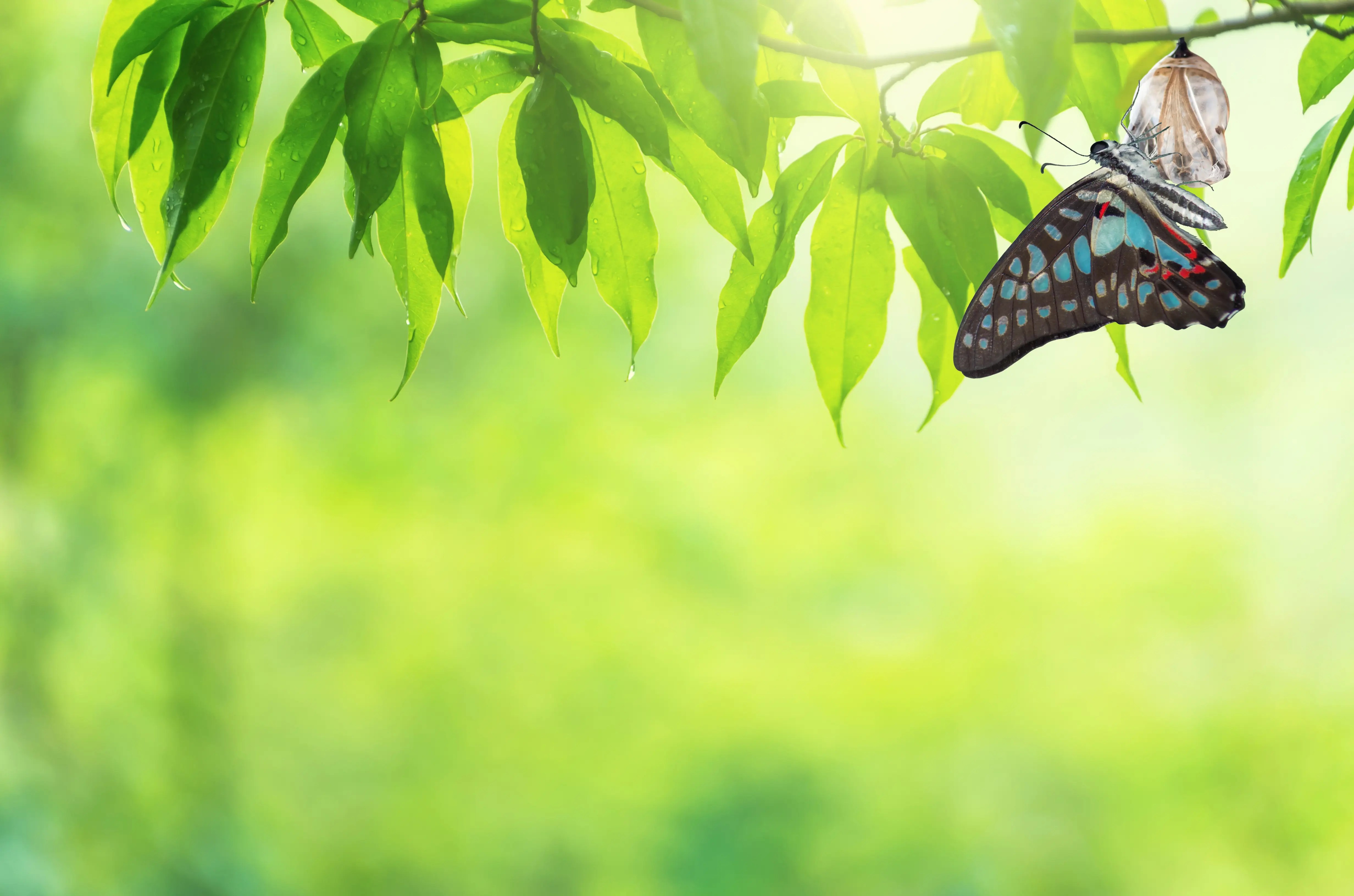 Read more about the article Change Isn’t a Bad Thing: Embracing the Circumstances That Shape Us
