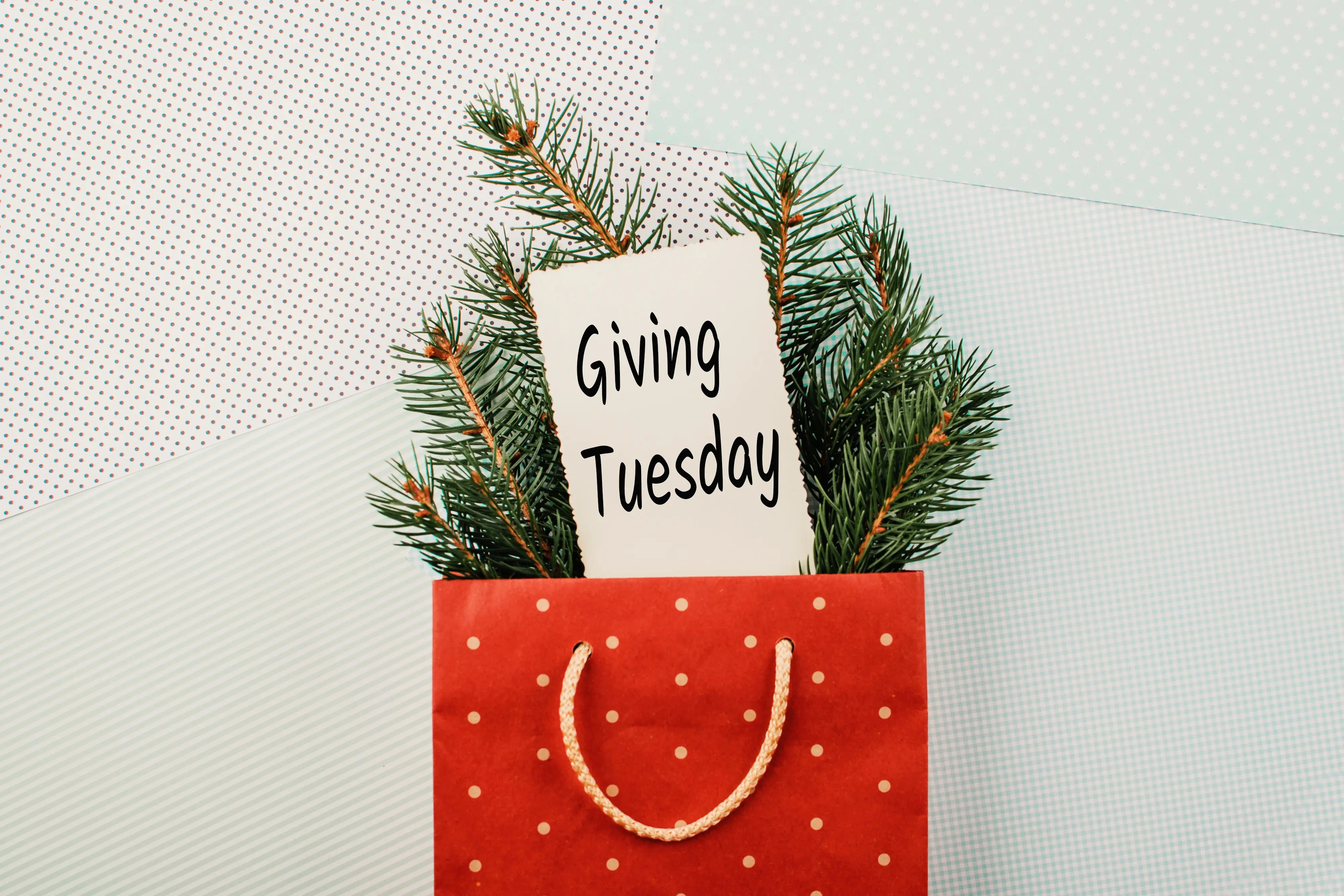 Read more about the article Making an Impact on #GivingTuesday: How Can You Give Back?