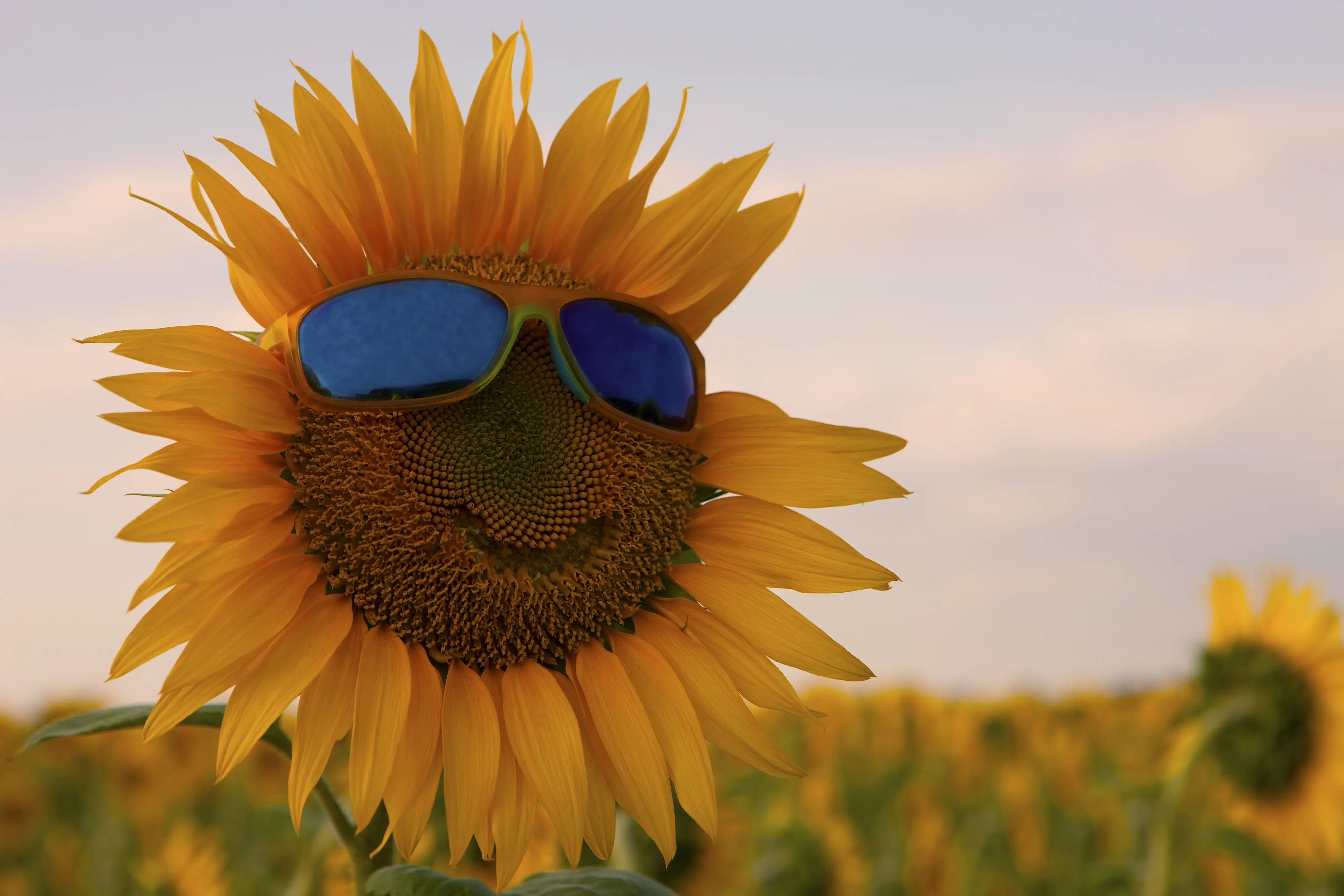 Read more about the article How Do I Find My Fun Me Again? 5 Ways to Bring Your Smile Back