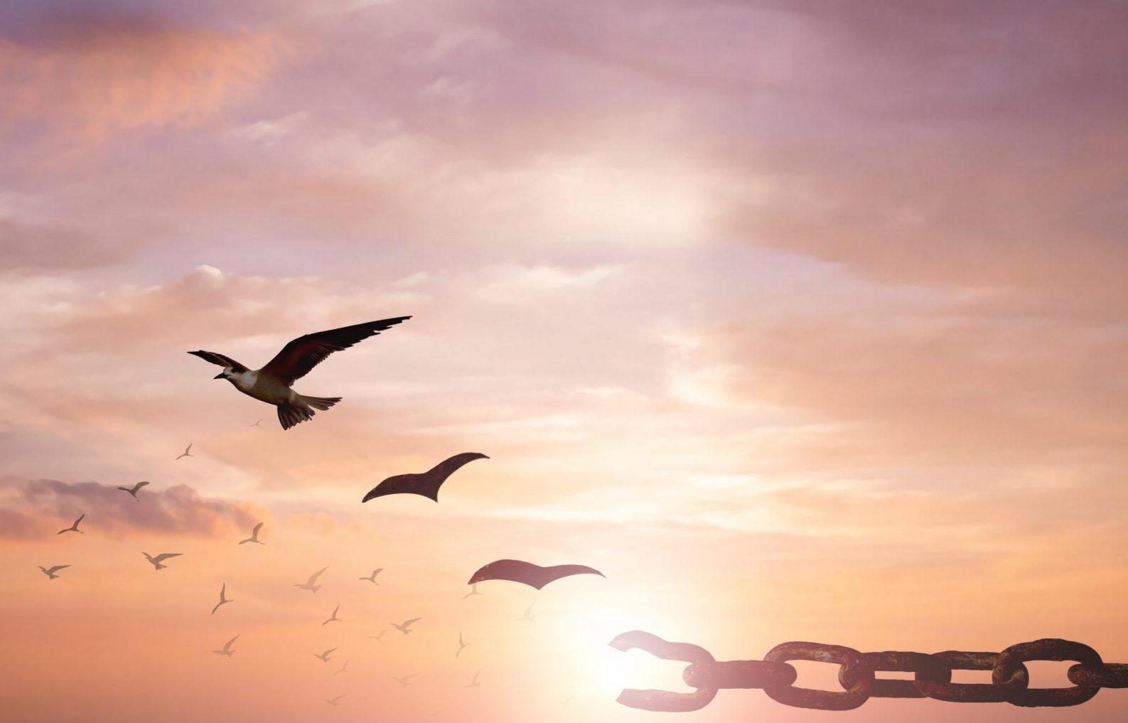 Read more about the article Suicide Interrupted; Finding Hope in the Pain