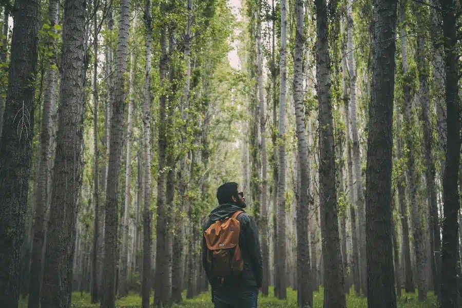 Read more about the article How to Support Your Mental Wellbeing