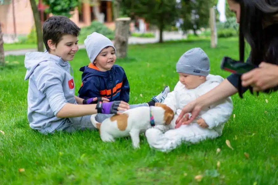 Read more about the article Bringing a Puppy Home with a Newborn: What You Need to Know