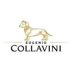 Collavini