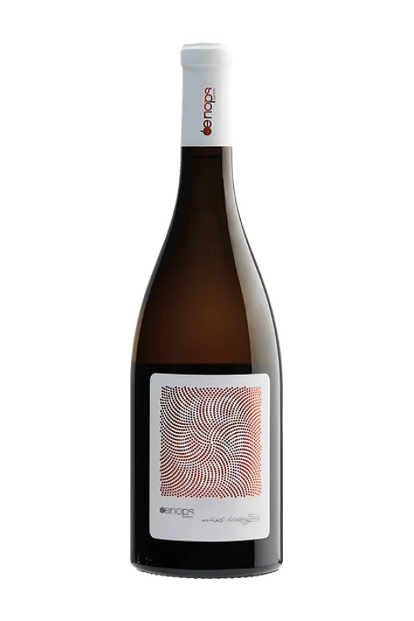 Oenops Kidonitsa 2022