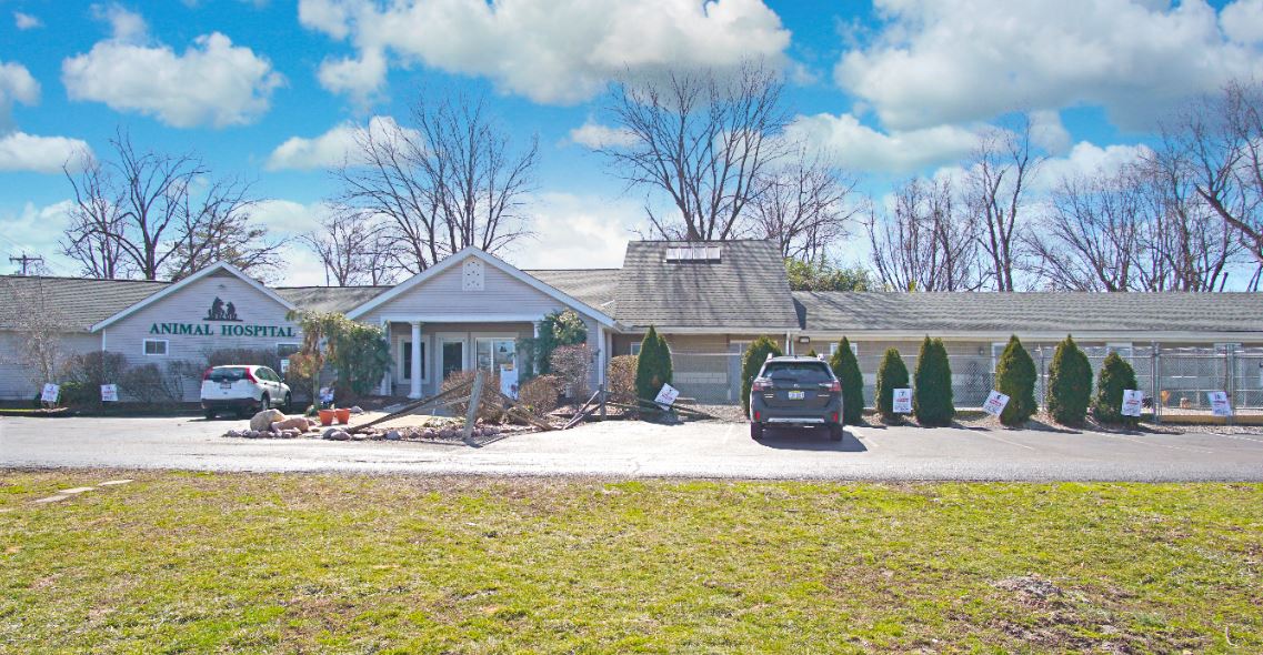 Eastgate animal hospital