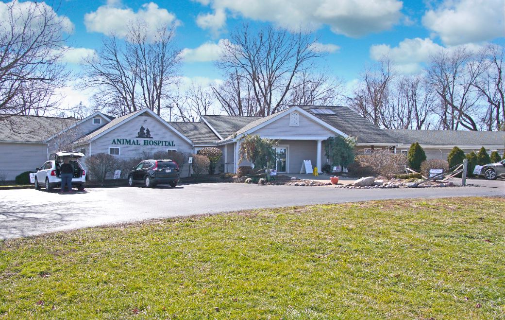 Eastgate animal hospital