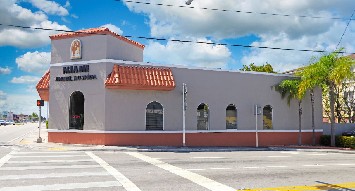 Miami animal hospital