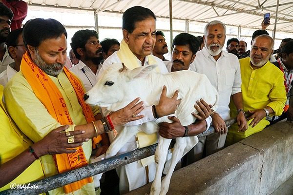NDA politics that will not leave even the people of the seven hills alone