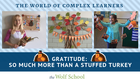 The World of Complex Learners: Gratitude