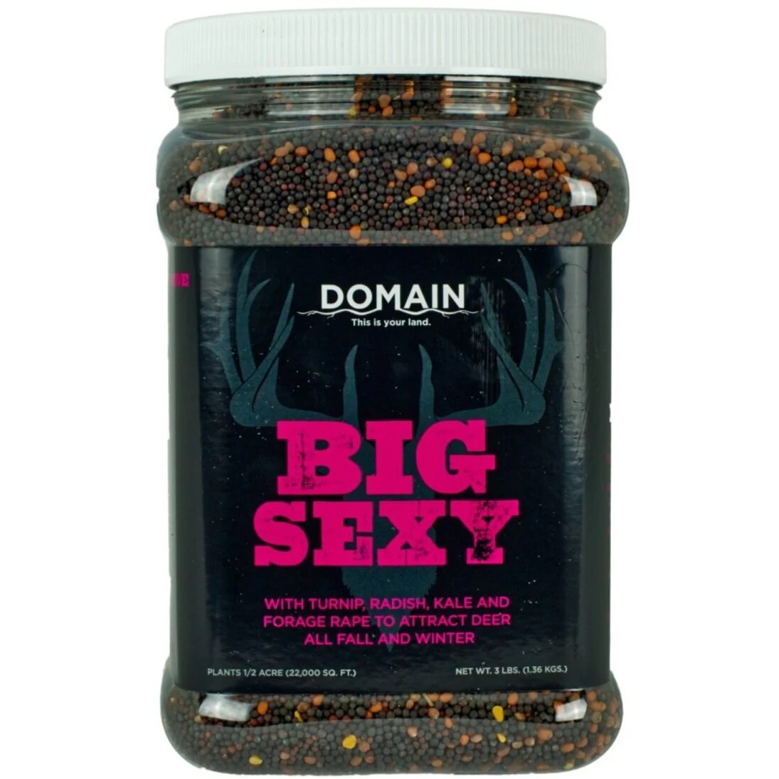 DOMAIN BIG SEXY