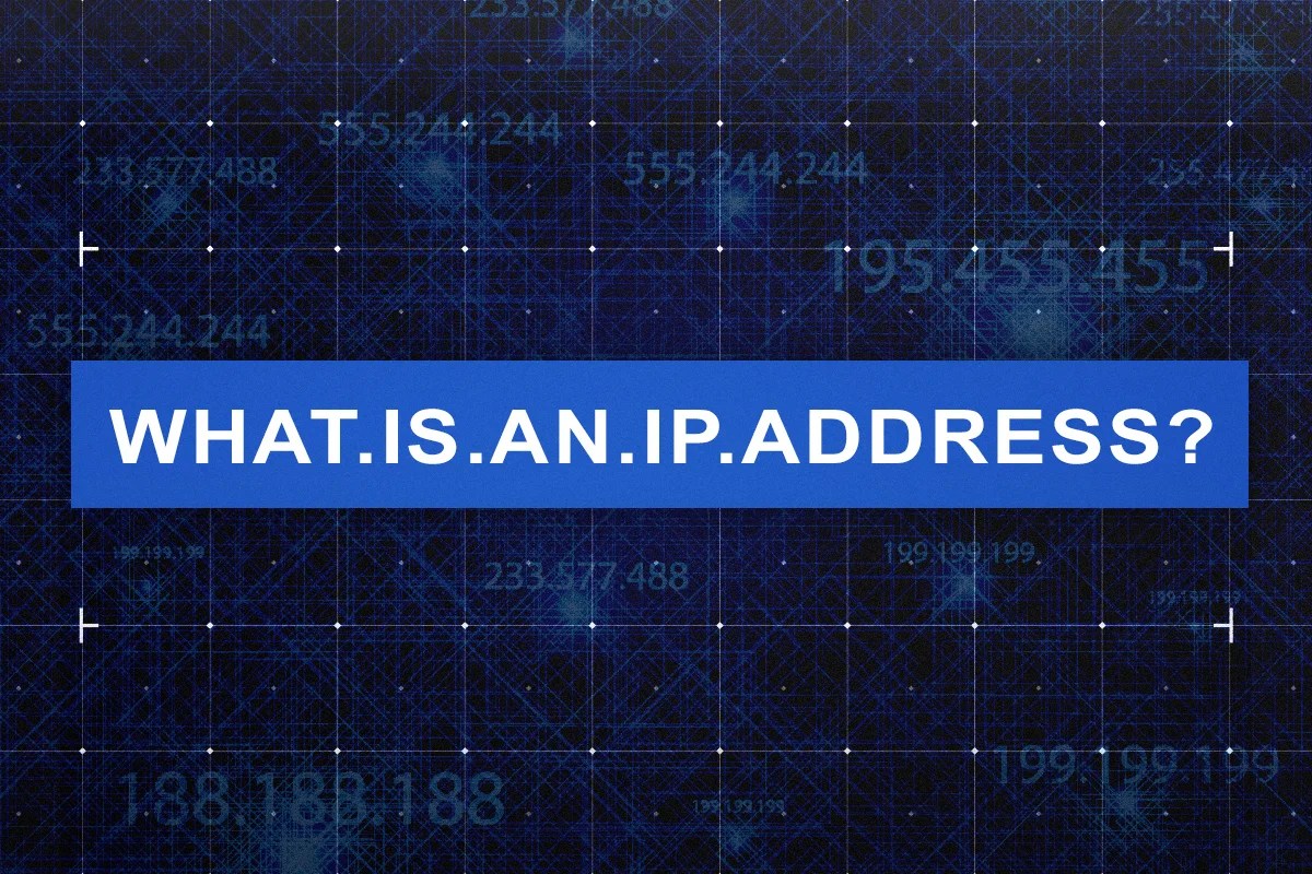 MAC and IP address