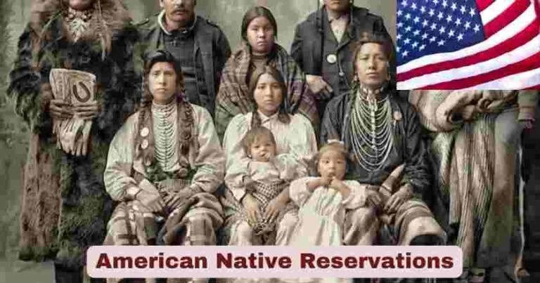 American Native 2025 Statistics Facts The World Data American Native 768x403 