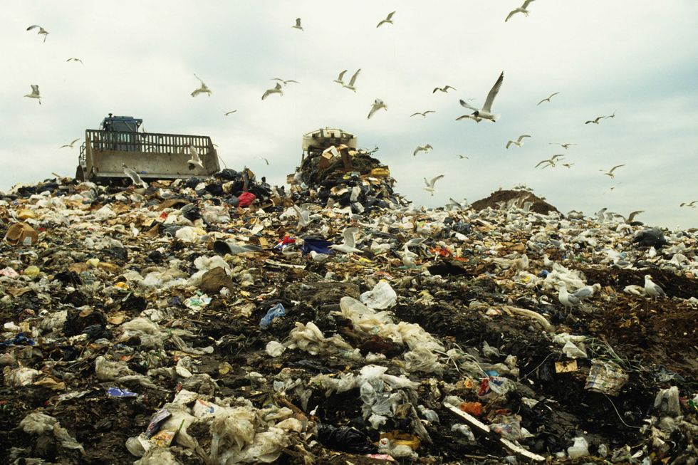 The Pungent History of America's Garbage Mountains