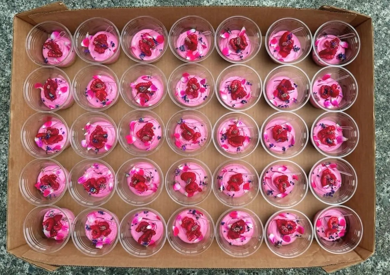 Cheesecup Cakes