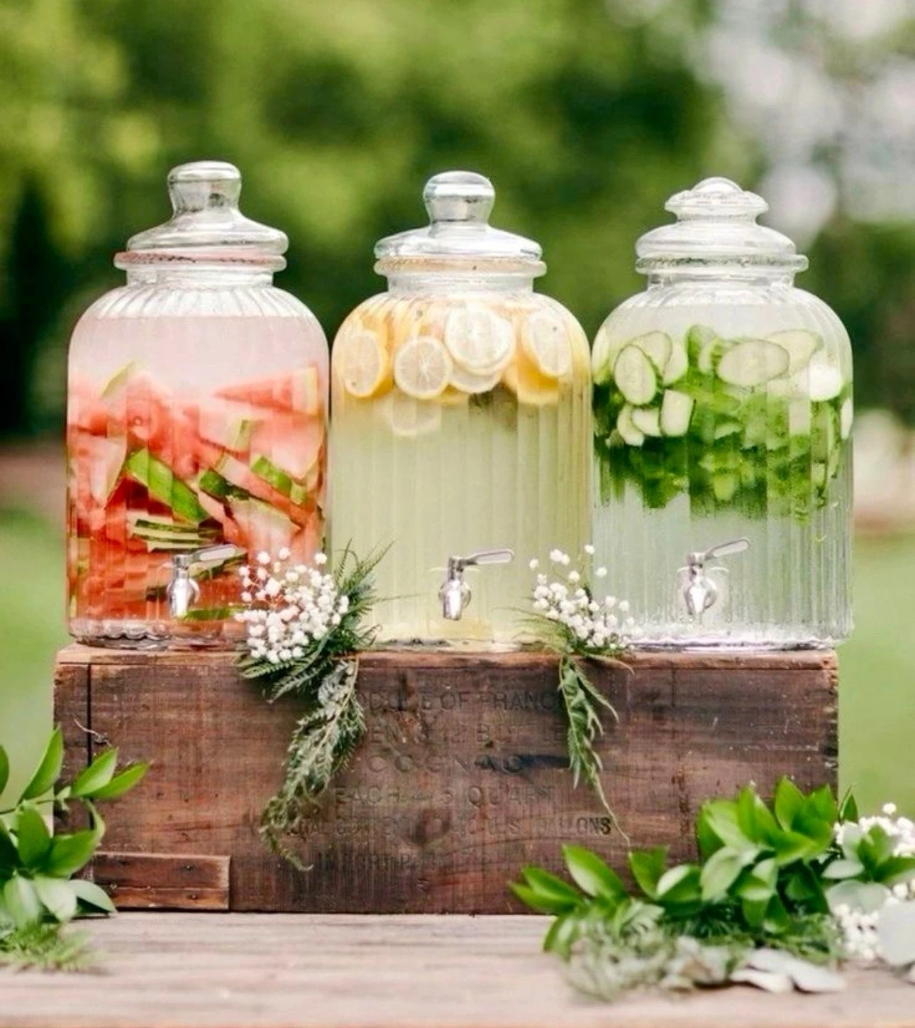 Food & Beverage Catering Setup
