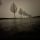 Der Nebel der Vertrautheit