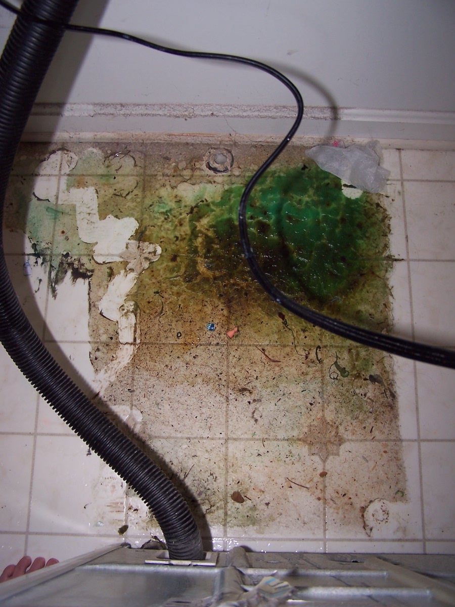 ...and then I pulled the washer all the way out. Egads!!!