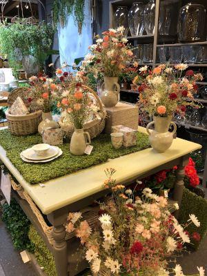 garden center Switzerland