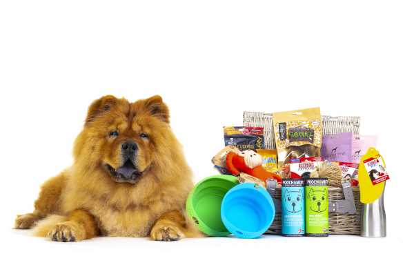 best COVID Box Subscription Switzerland