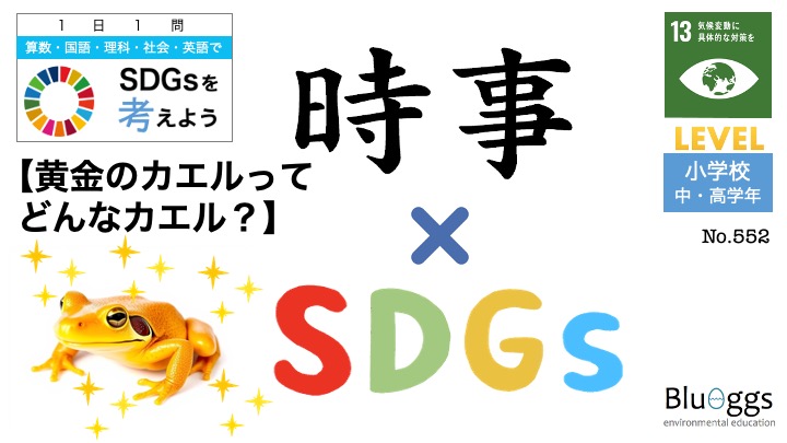 No.552【黄金のカエルってどんなカエル？】 – 1日1問SDGsを