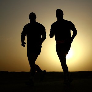 Custom 30-Day Cardiovascular Training Plan