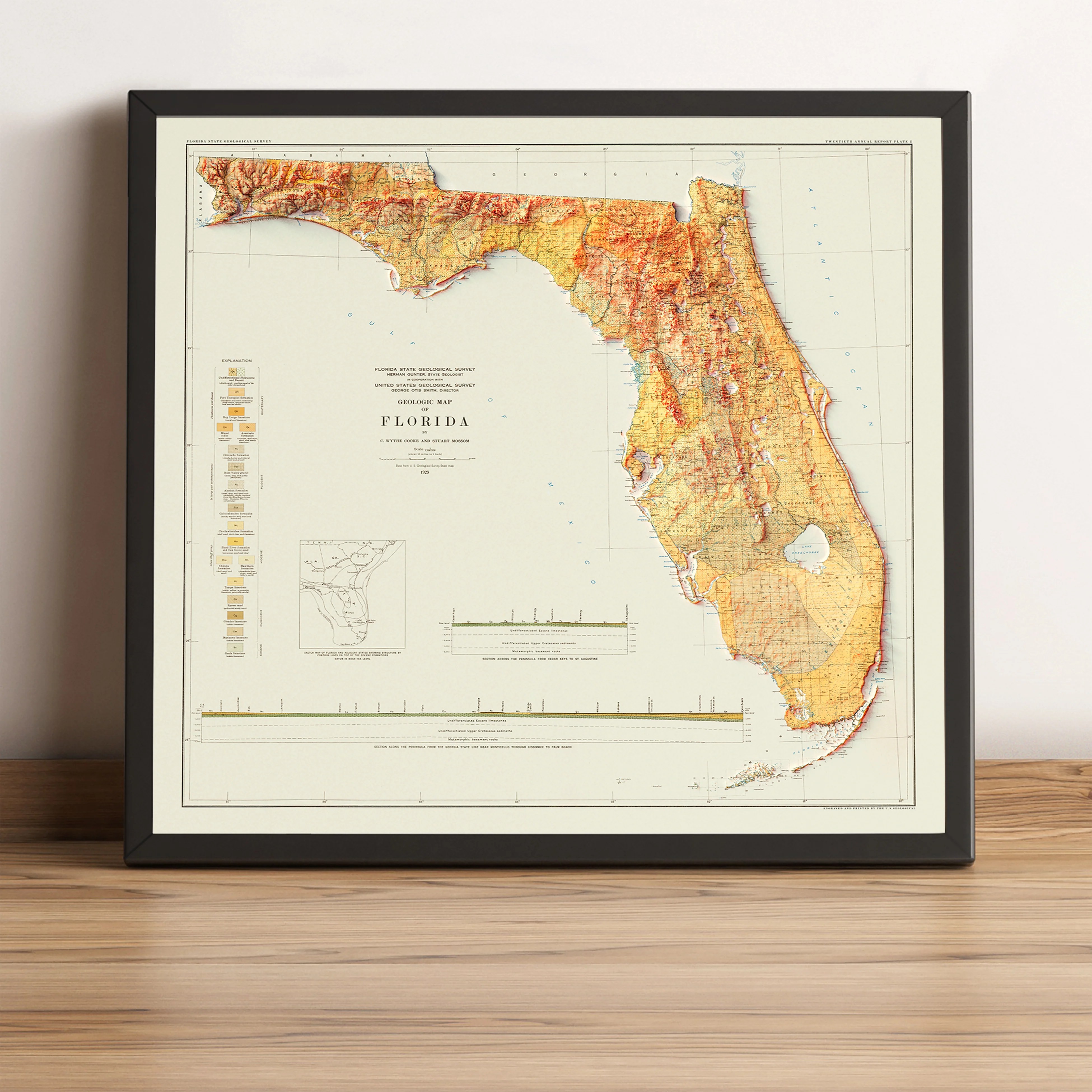 Elevation Map Florida FLORIDAA2.
