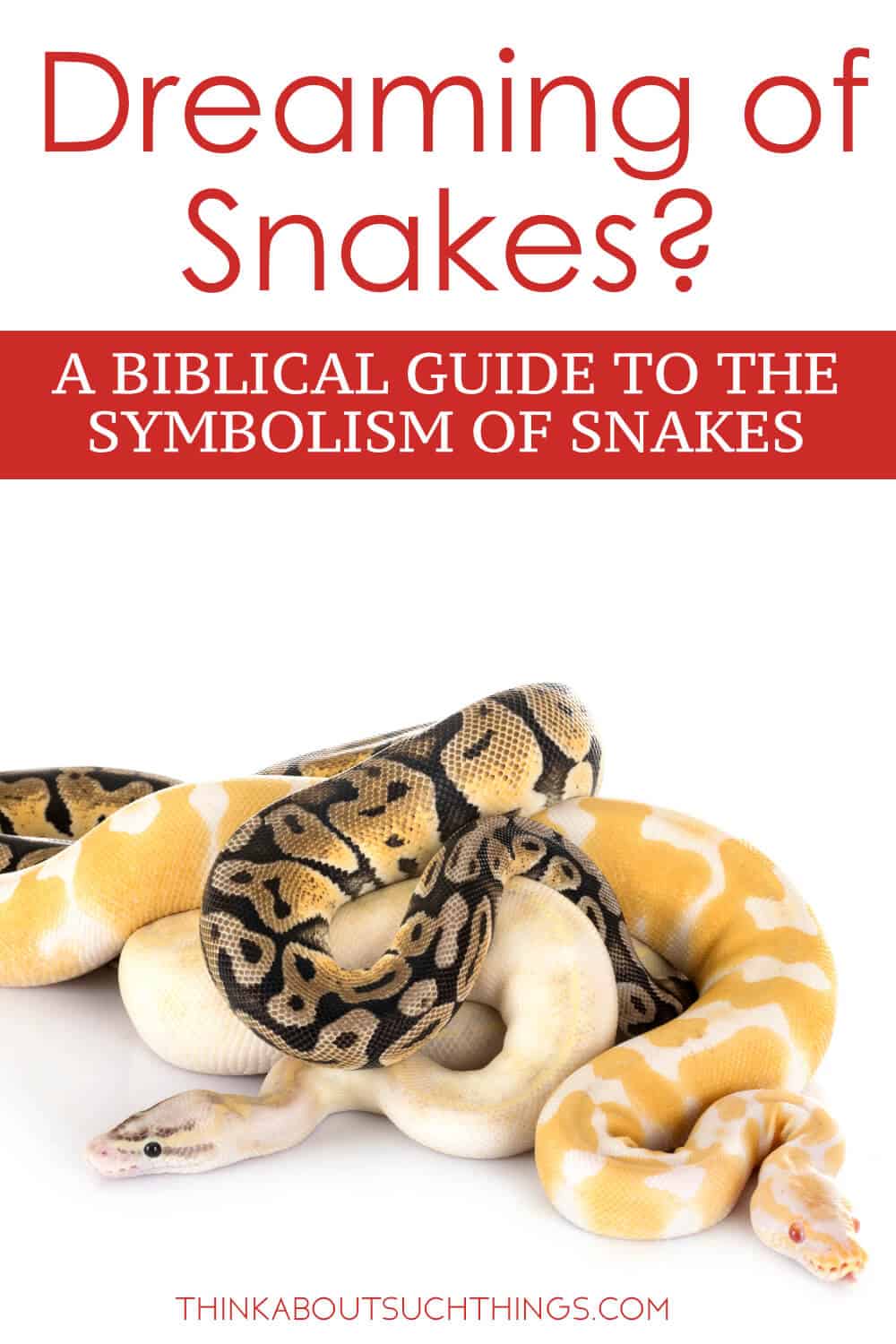 Navigating the spiritual realm: unveiling the biblical meaning of snake