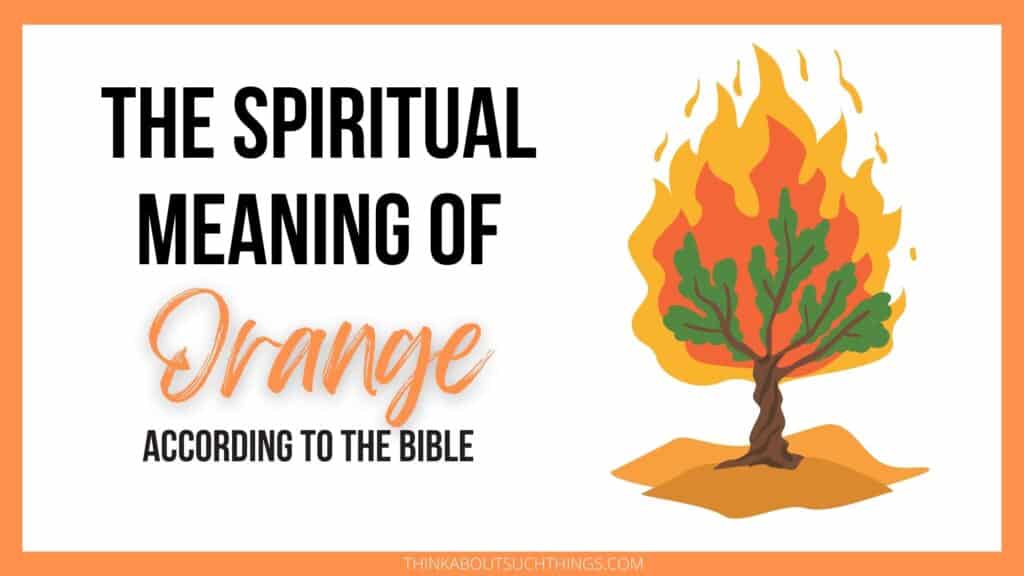 Orange in the bible: symbolism, meaning, and more